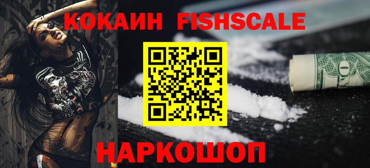 COCAIN Fish Scale  Вход с VPN  Кудрово  КОКАИН Columbia 
