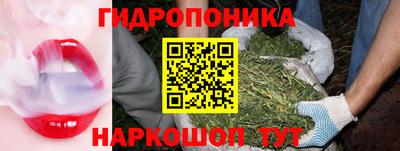 ECSTASY Ярославль