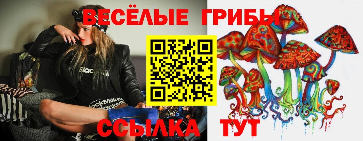 Псилоцибиновые грибы Magic Shrooms Кудрово